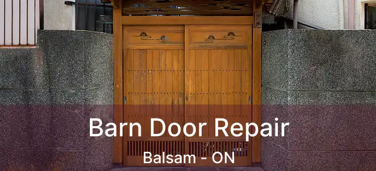  Barn Door Repair Balsam - ON
