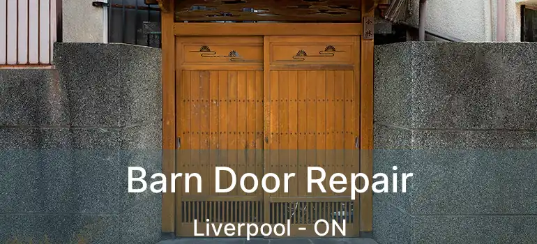  Barn Door Repair Liverpool - ON
