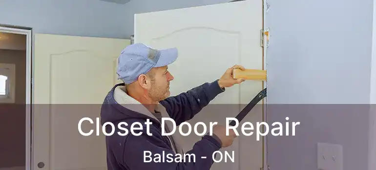  Closet Door Repair Balsam - ON
