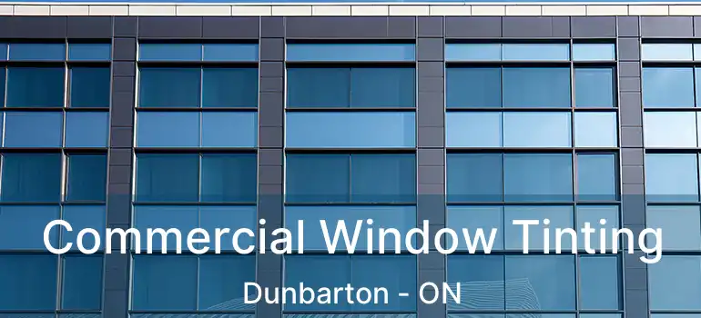  Commercial Window Tinting Dunbarton - ON