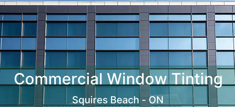  Commercial Window Tinting Squires Beach - ON