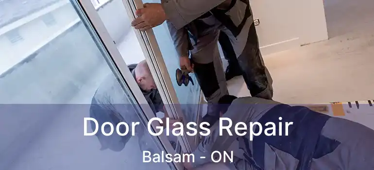  Door Glass Repair Balsam - ON