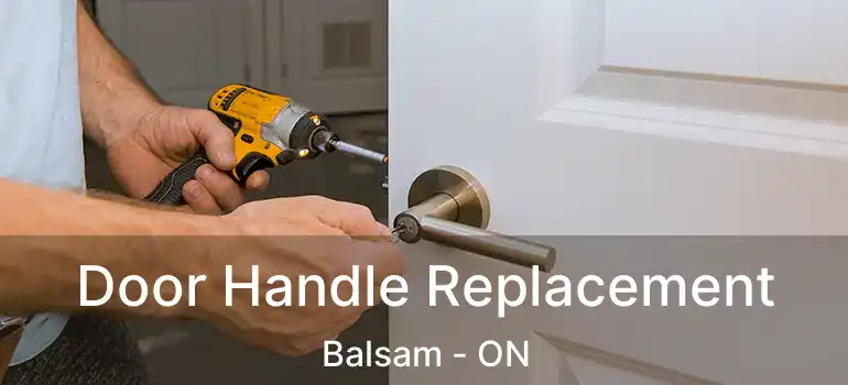  Door Handle Replacement Balsam - ON