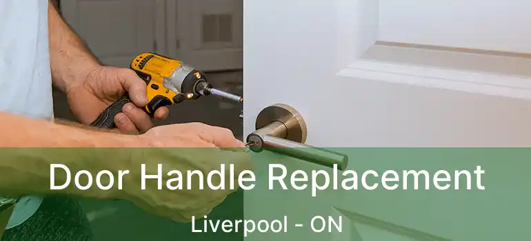  Door Handle Replacement Liverpool - ON