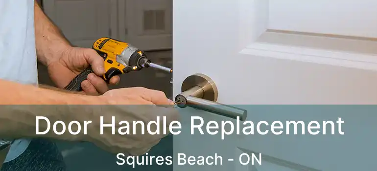  Door Handle Replacement Squires Beach - ON