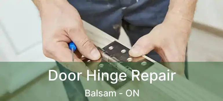  Door Hinge Repair Balsam - ON