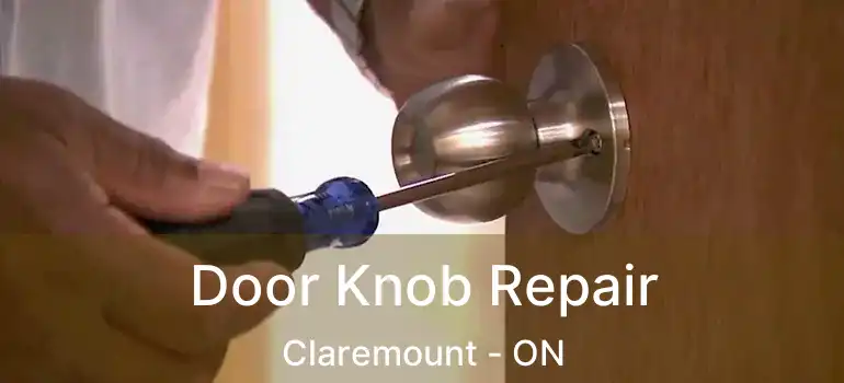  Door Knob Repair Claremount - ON