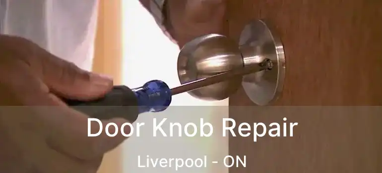  Door Knob Repair Liverpool - ON