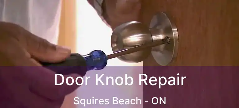  Door Knob Repair Squires Beach - ON
