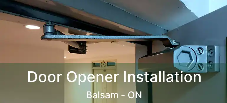  Door Opener Installation Balsam - ON