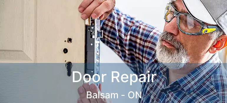  Door Repair Balsam - ON