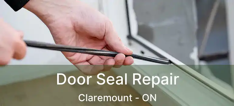 Door Seal Repair Claremount - ON