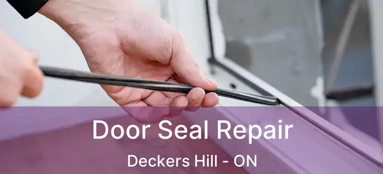  Door Seal Repair Deckers Hill - ON