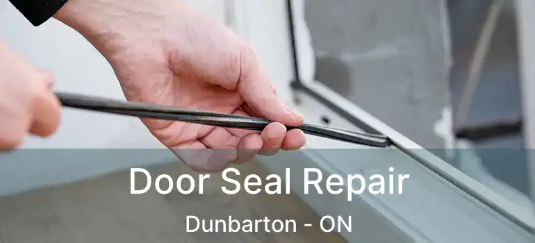  Door Seal Repair Dunbarton - ON