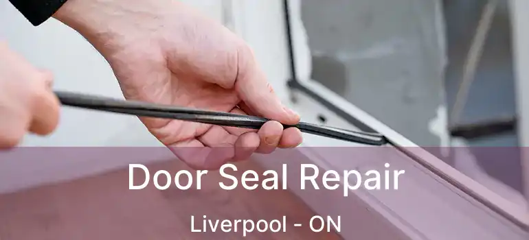  Door Seal Repair Liverpool - ON