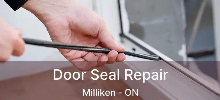  Door Seal Repair Milliken - ON