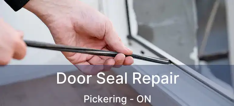  Door Seal Repair Pickering - ON