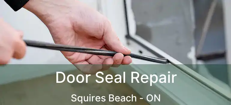  Door Seal Repair Squires Beach - ON