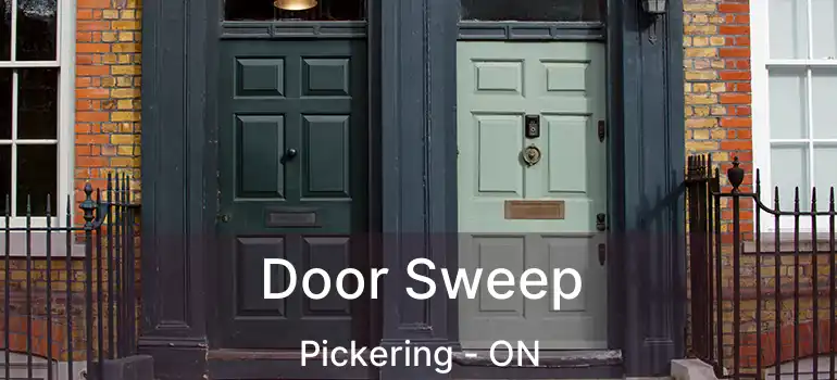  Door Sweep Pickering - ON
