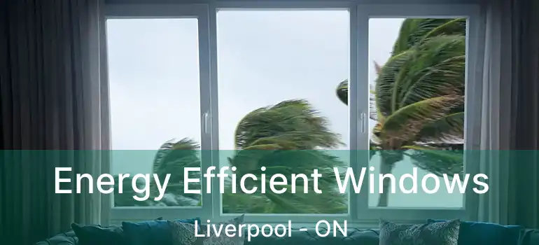  Energy Efficient Windows Liverpool - ON