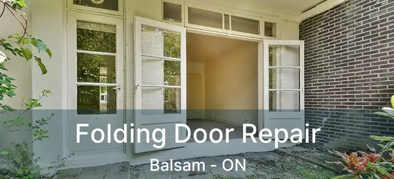  Folding Door Repair Balsam - ON