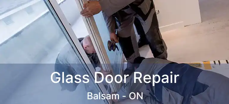  Glass Door Repair Balsam - ON