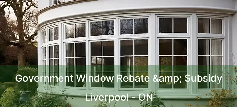  Government Window Rebate & Subsidy Liverpool - ON