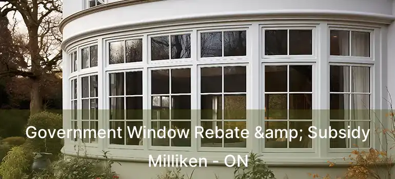  Government Window Rebate & Subsidy Milliken - ON