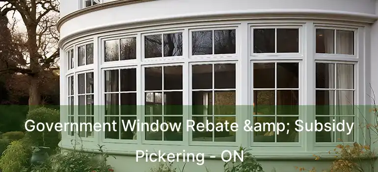  Government Window Rebate & Subsidy Pickering - ON