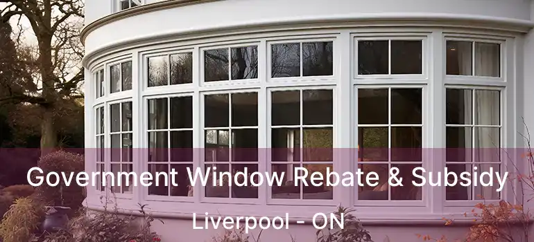  Government Window Rebate & Subsidy Liverpool - ON