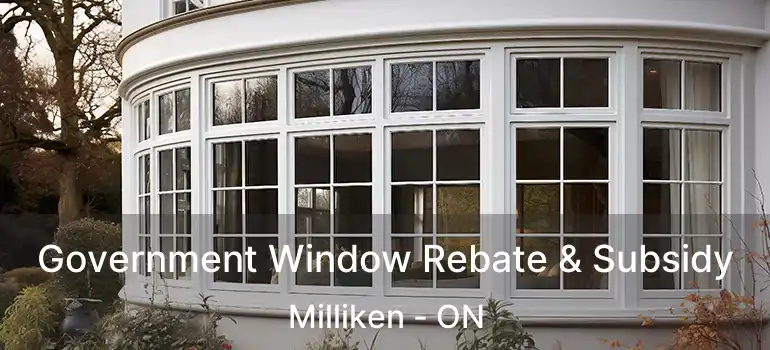  Government Window Rebate & Subsidy Milliken - ON