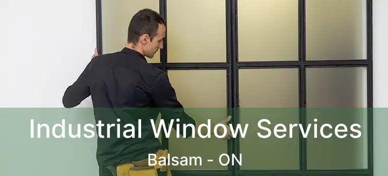  Industrial Window Services Balsam - ON