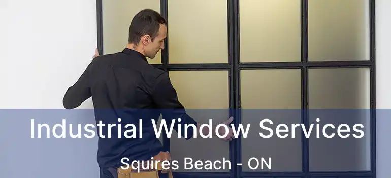  Industrial Window Services Squires Beach - ON