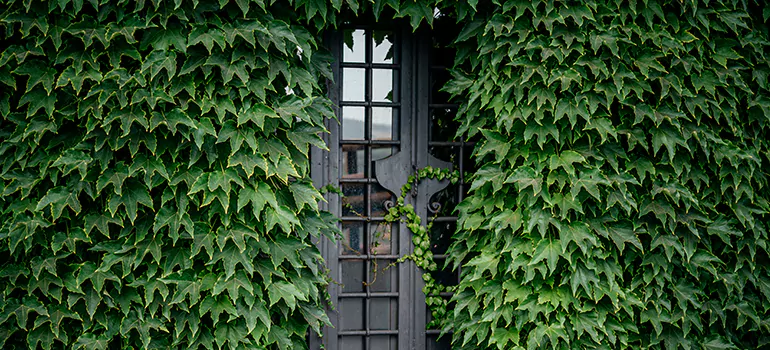 Garden Gate Repair in Pickering, ON