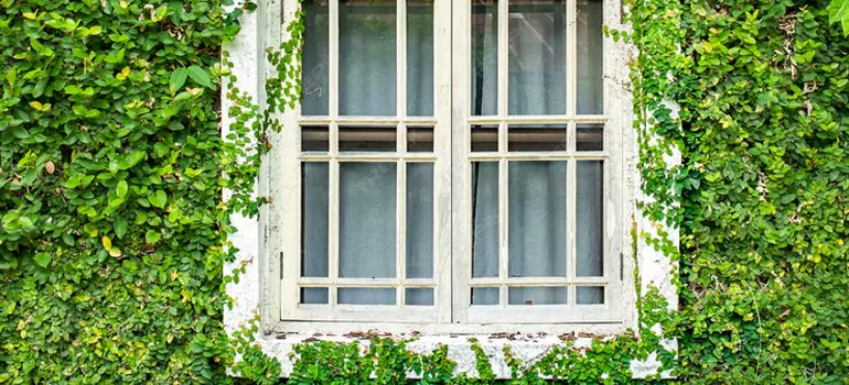 arden Window Repair Near Me in Pickering, ON