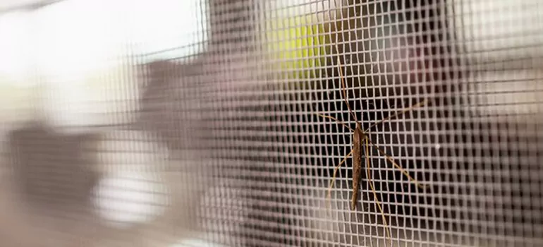 Repair Mosquito Mesh For Windows in Pickering, Ontario