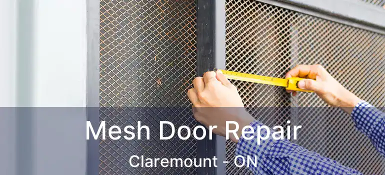  Mesh Door Repair Claremount - ON