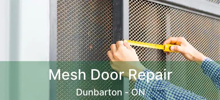  Mesh Door Repair Dunbarton - ON