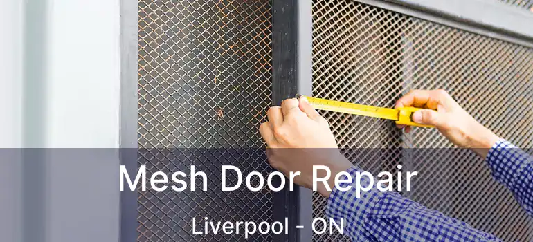  Mesh Door Repair Liverpool - ON