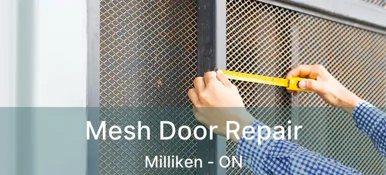  Mesh Door Repair Milliken - ON