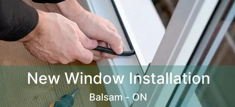  New Window Installation Balsam - ON