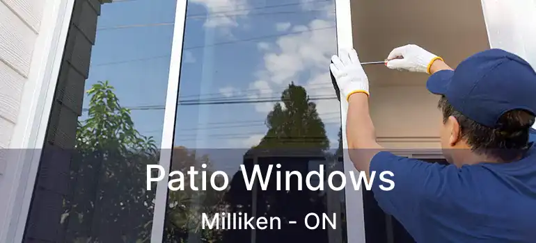  Patio Windows Milliken - ON