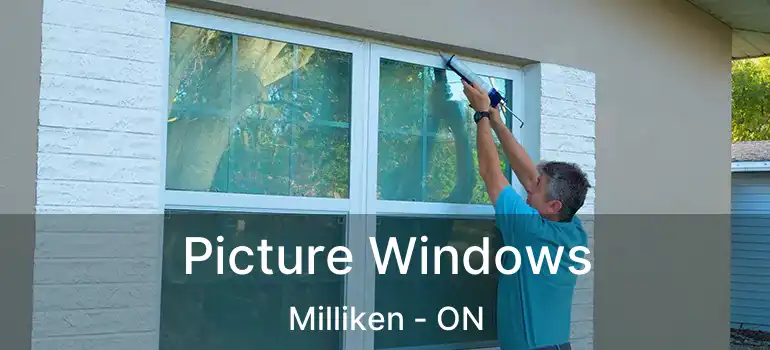  Picture Windows Milliken - ON