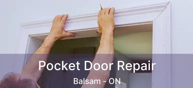  Pocket Door Repair Balsam - ON