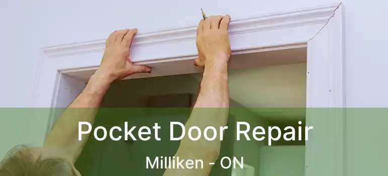  Pocket Door Repair Milliken - ON
