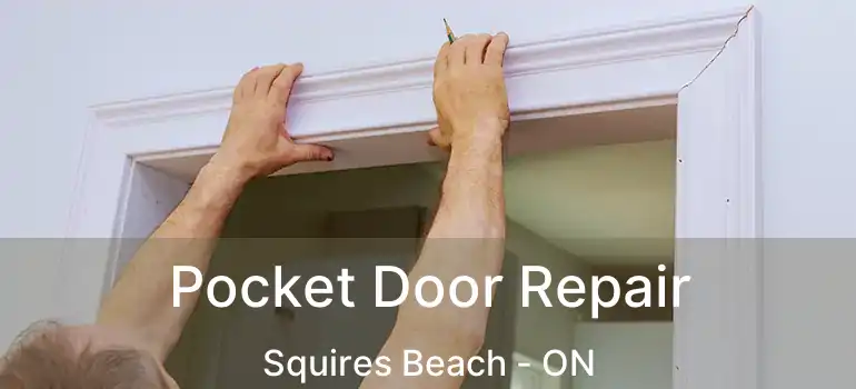  Pocket Door Repair Squires Beach - ON