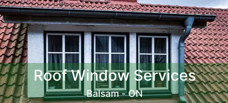  Roof Window Services Balsam - ON