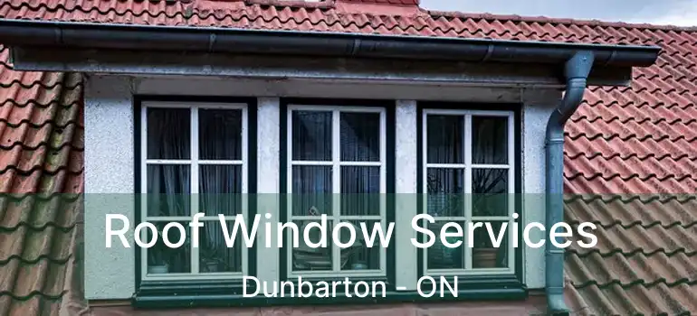  Roof Window Services Dunbarton - ON