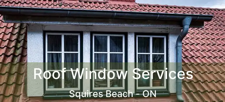  Roof Window Services Squires Beach - ON