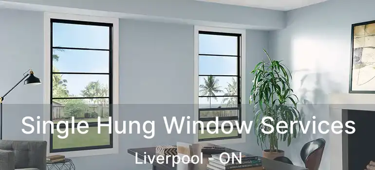  Single Hung Window Services Liverpool - ON